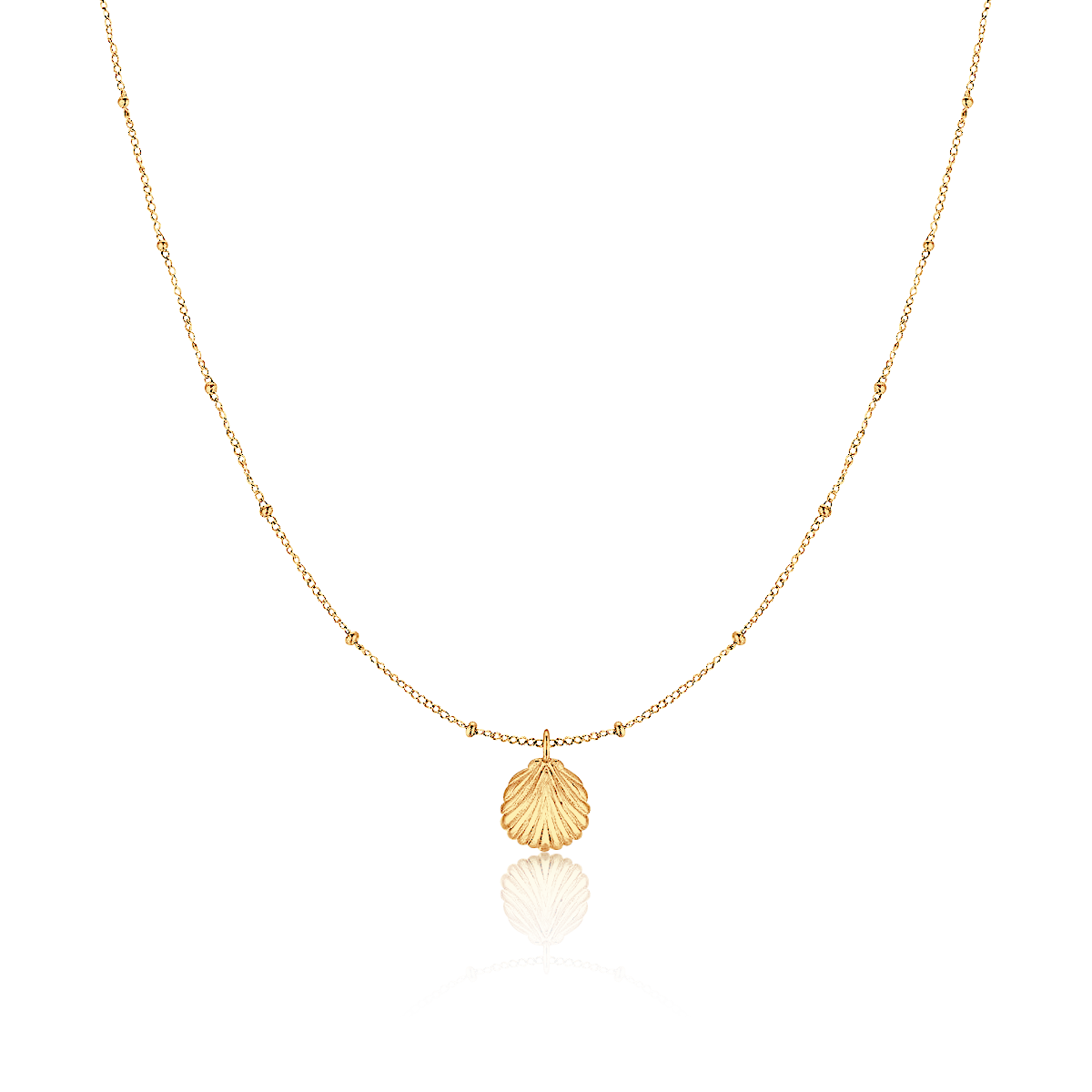 Collier Coquillage marin