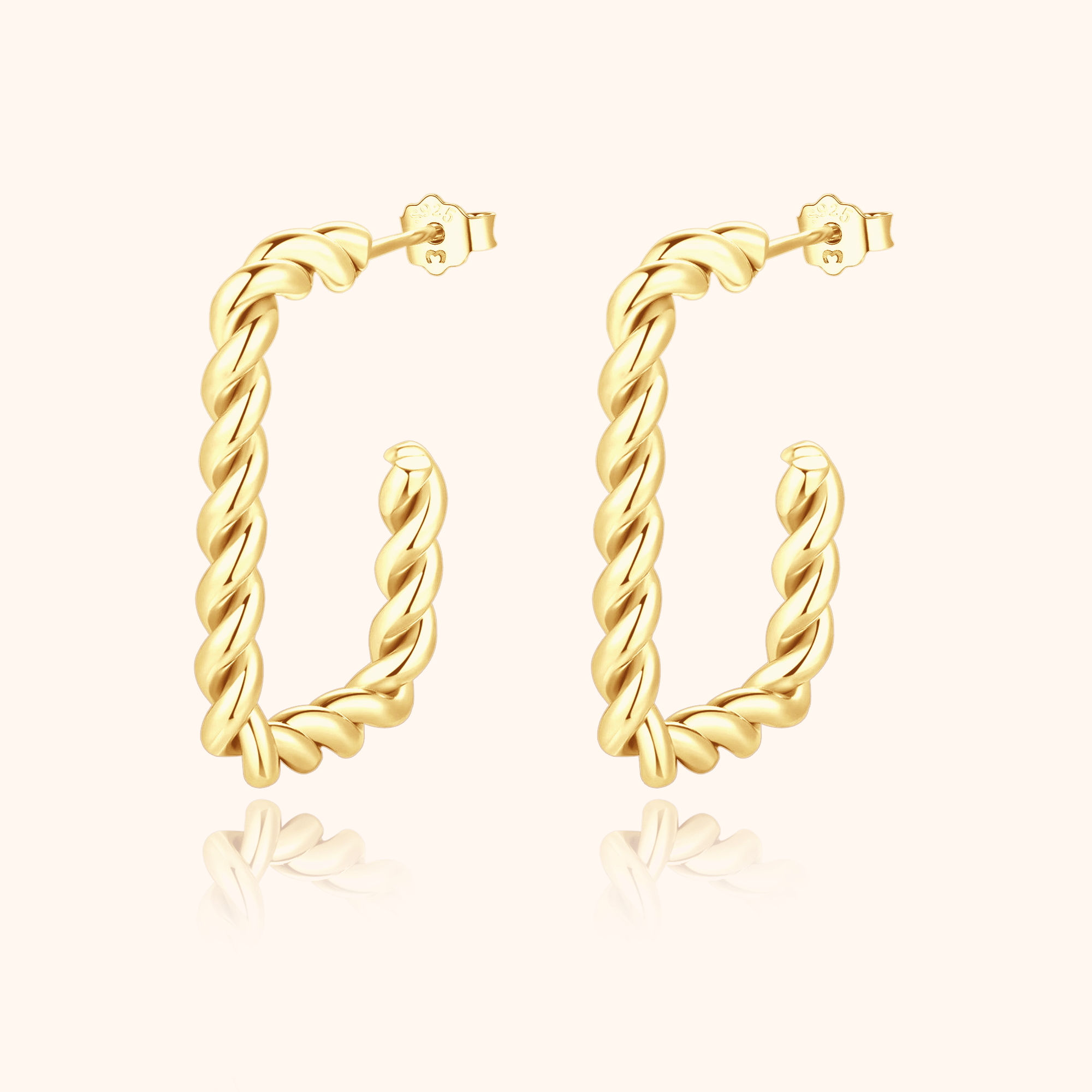 Twisted Braid Earrings - SophiaJewels