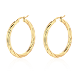 Zaun Ohrringe