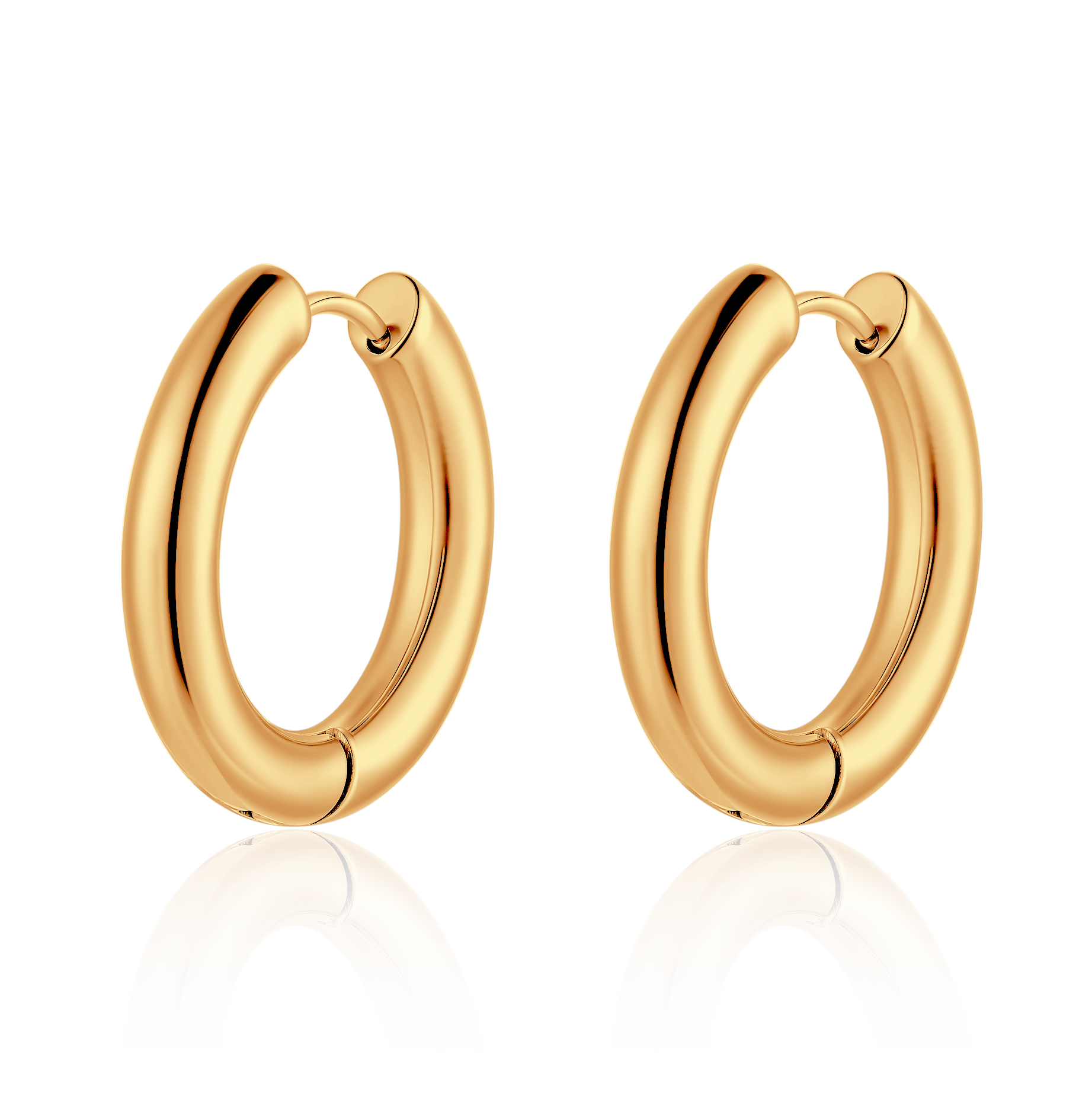 Essence Hoops Earrings - SophiaJewels