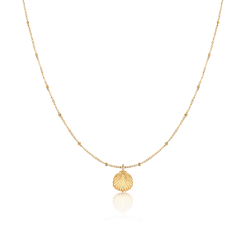 Collier Coquillage marin