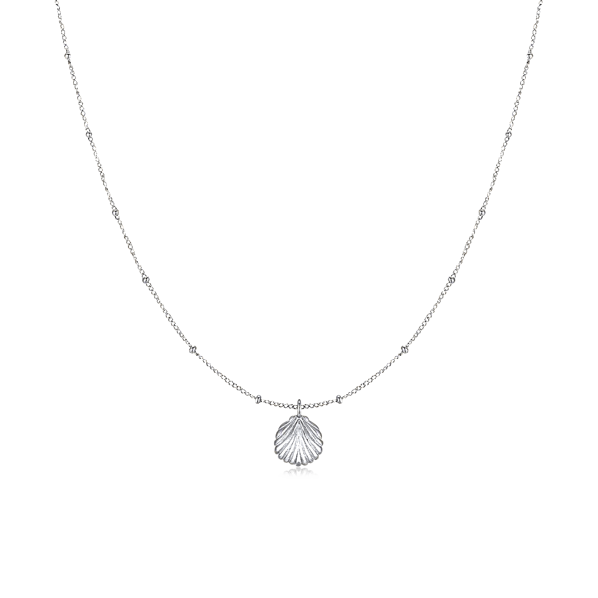Collier Coquillage marin