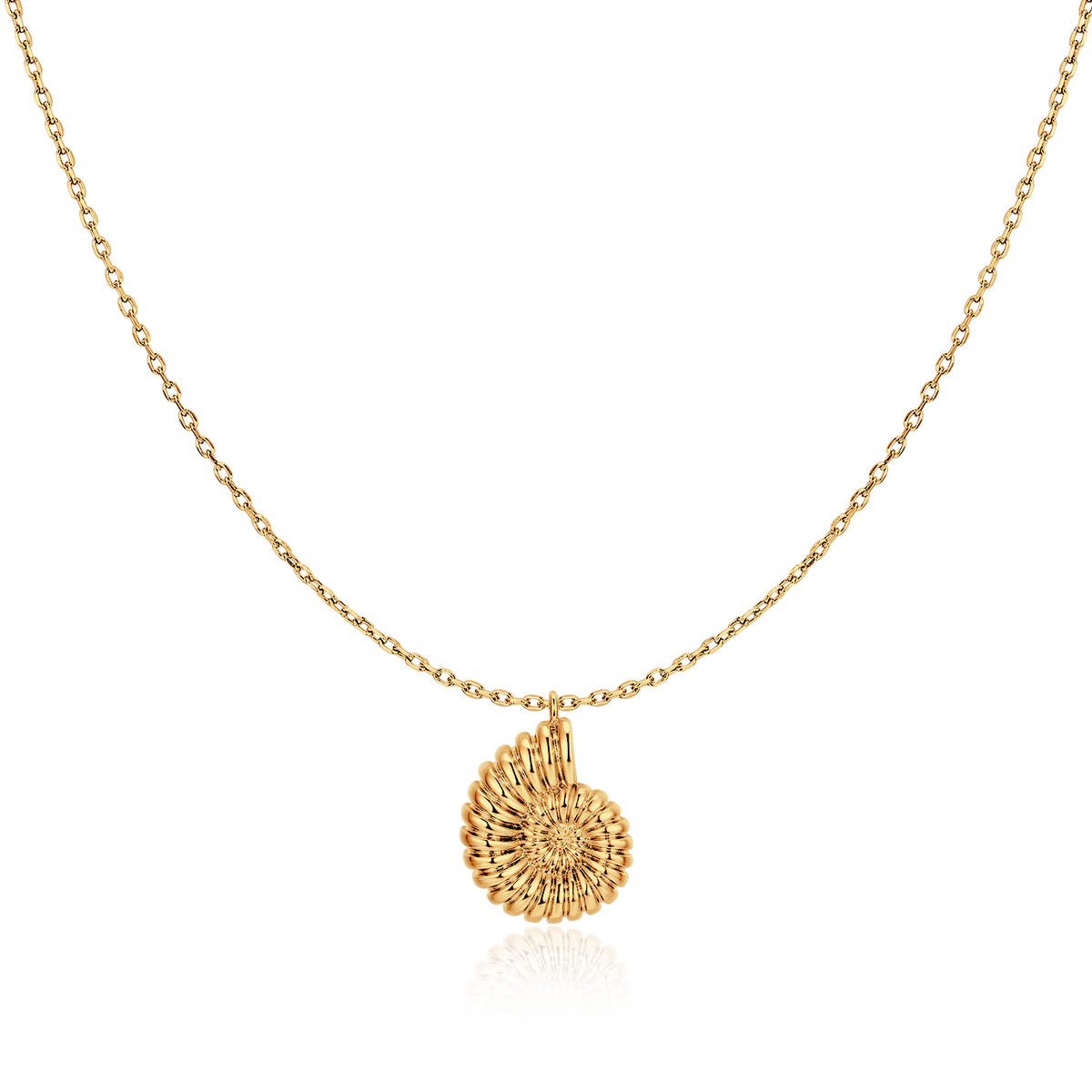Nautilus Shell Necklace - SophiaJewels