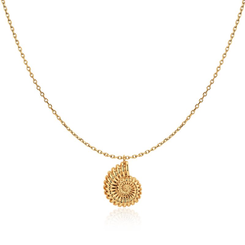 Nautilus Shell Necklace - SophiaJewels