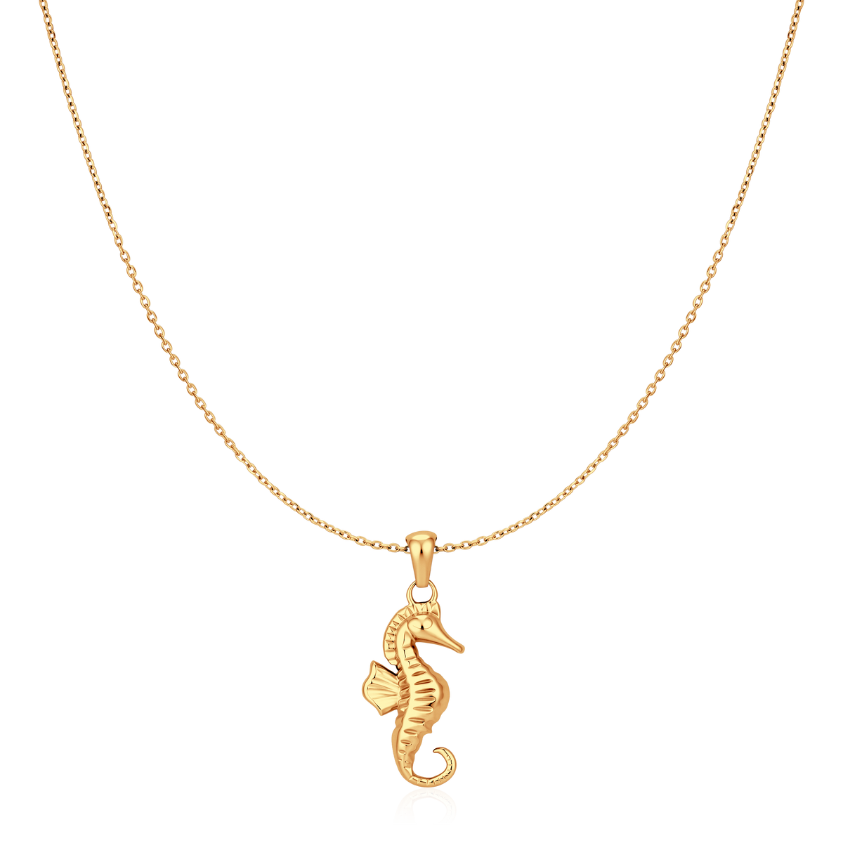 Collier hippocampe