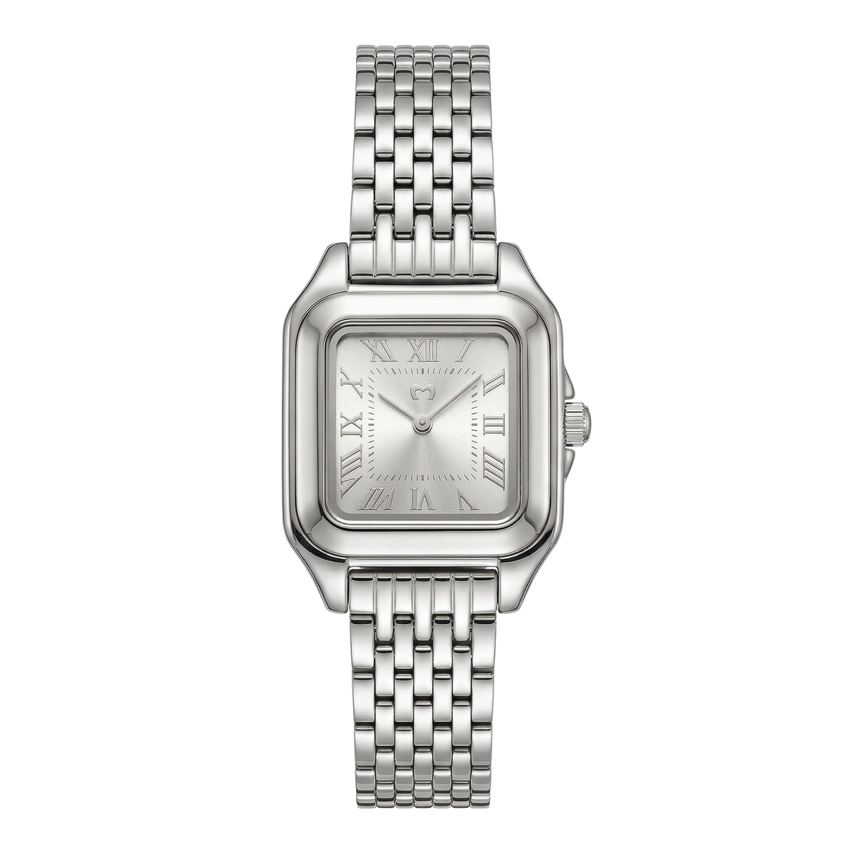 Montre ~ Europa Silver