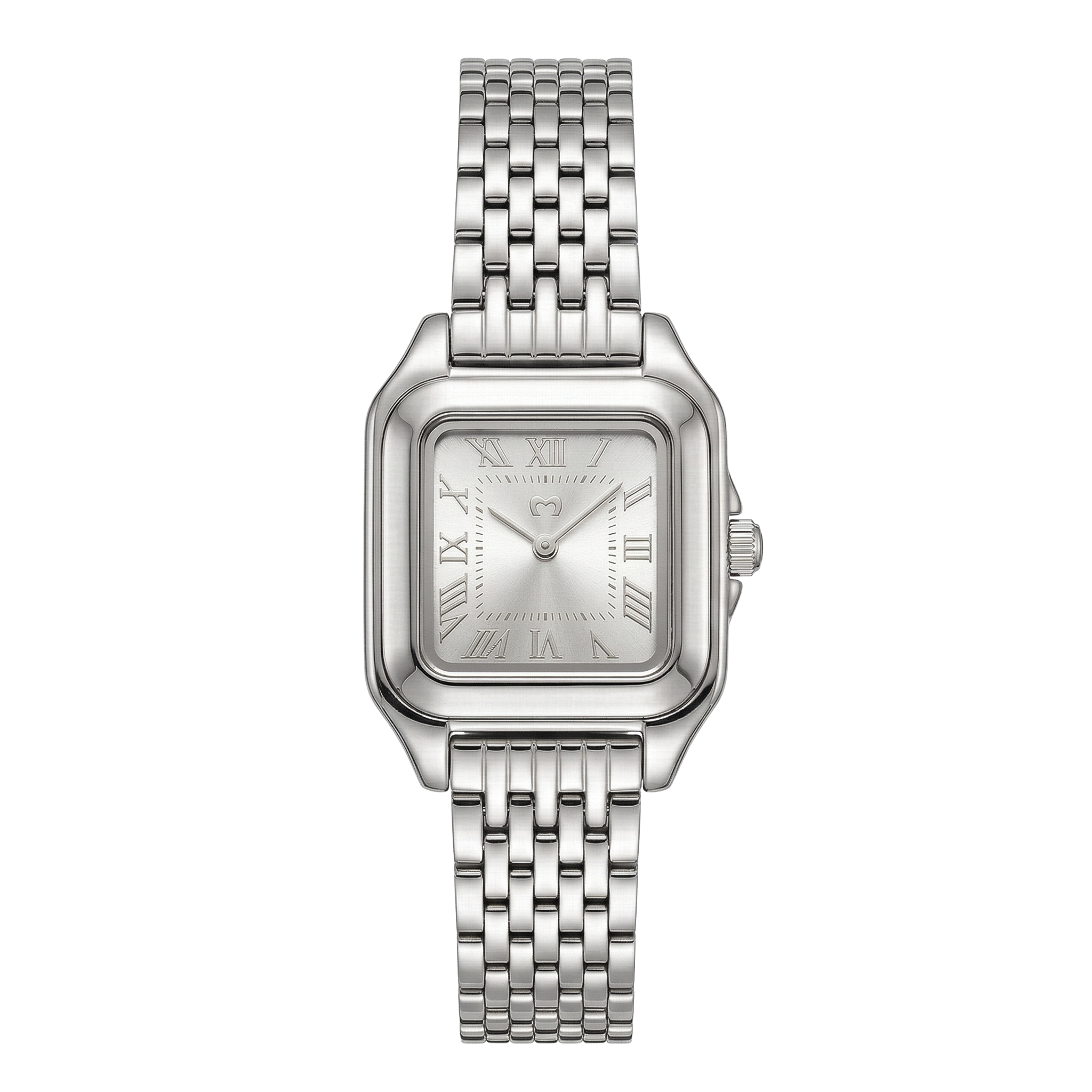 Montre ~ Europa Silver