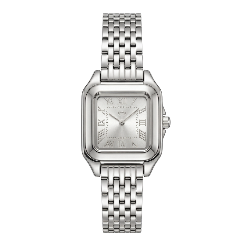 Montre ~ Europa Silver