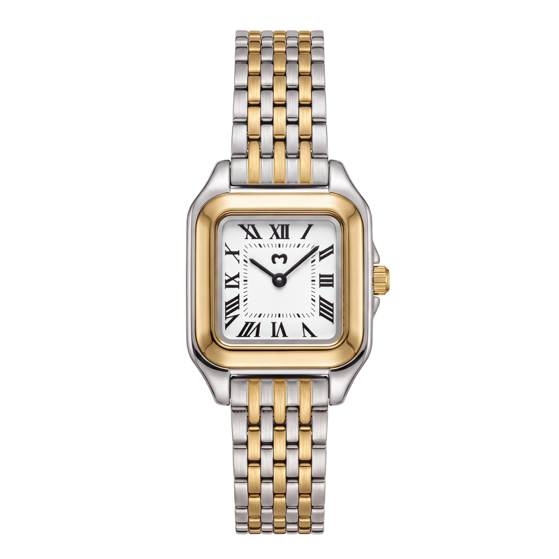 Montre ~ Europa Silver-Gold