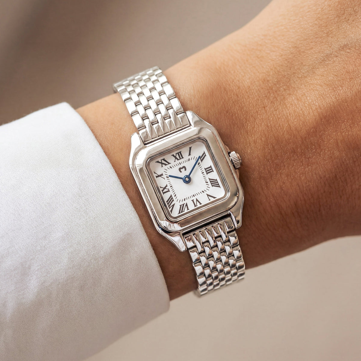 Montre ~ Europa Silver-White
