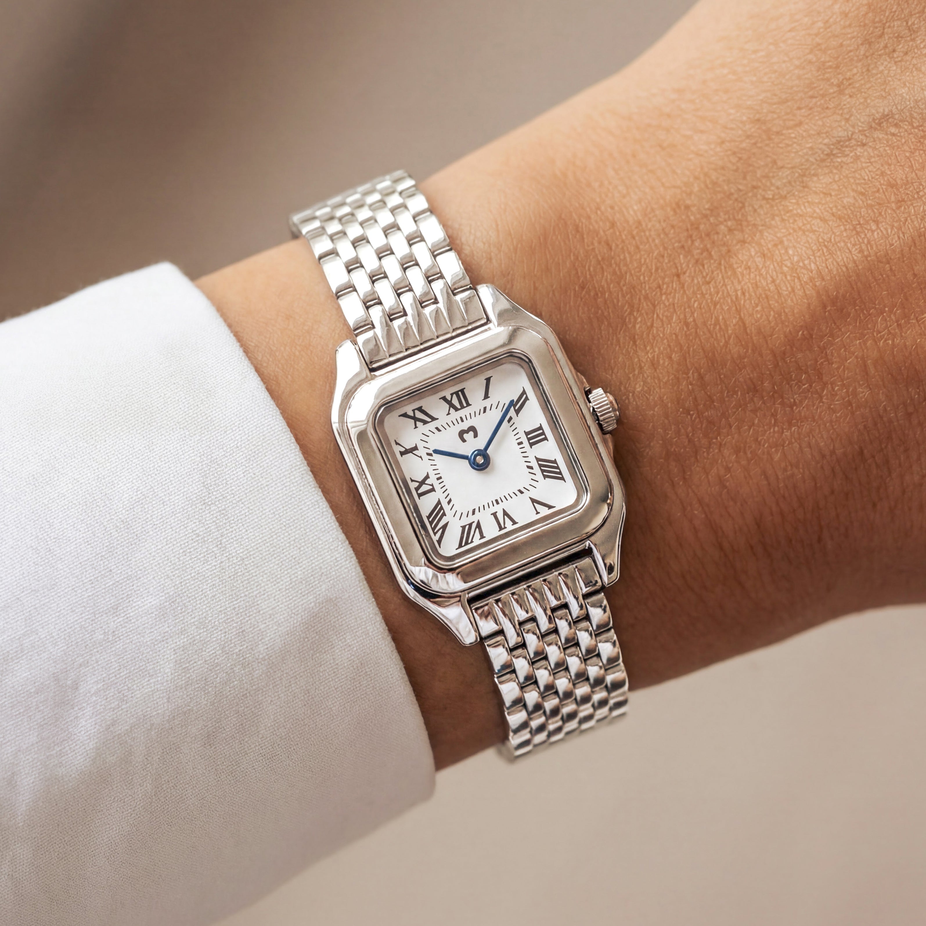 Montre ~ Europa Silver-White