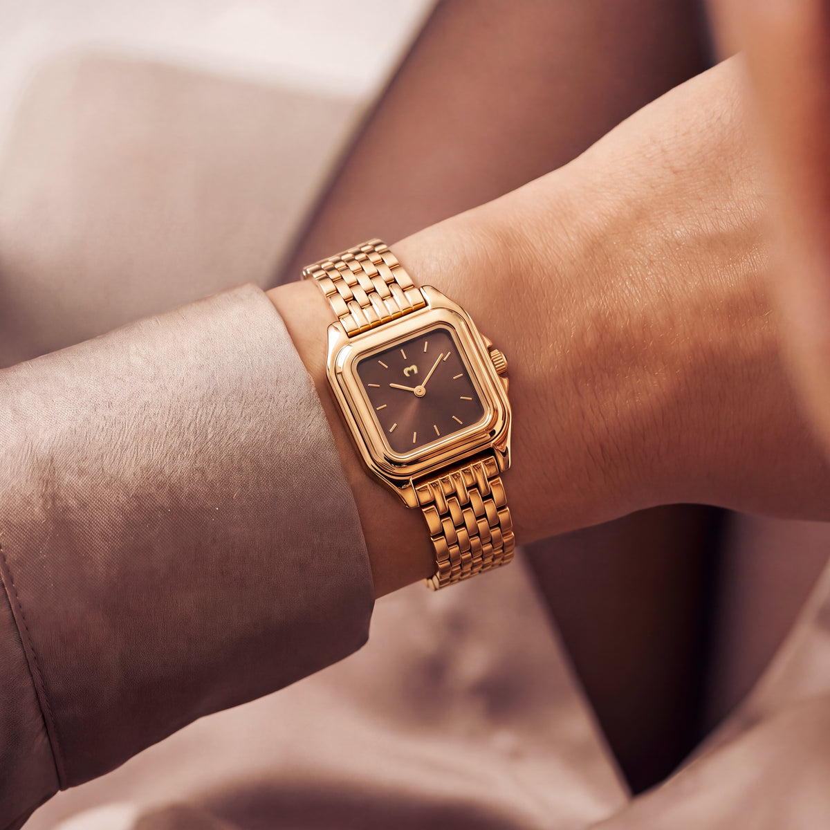 Orologio ~ Hampton Gold-Brown