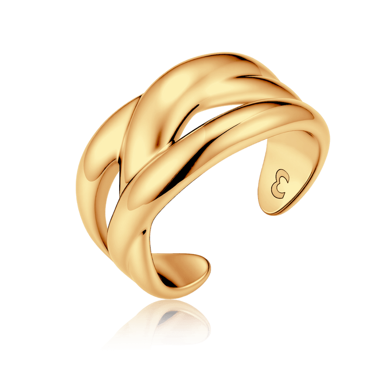 Bague bandes torsadées