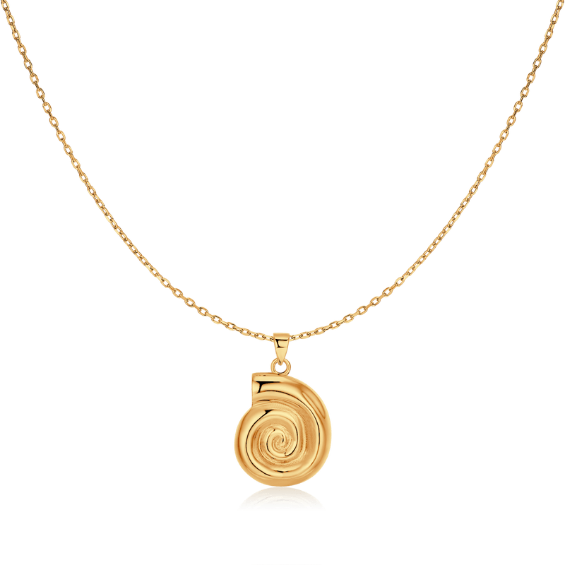 Collier coquillage