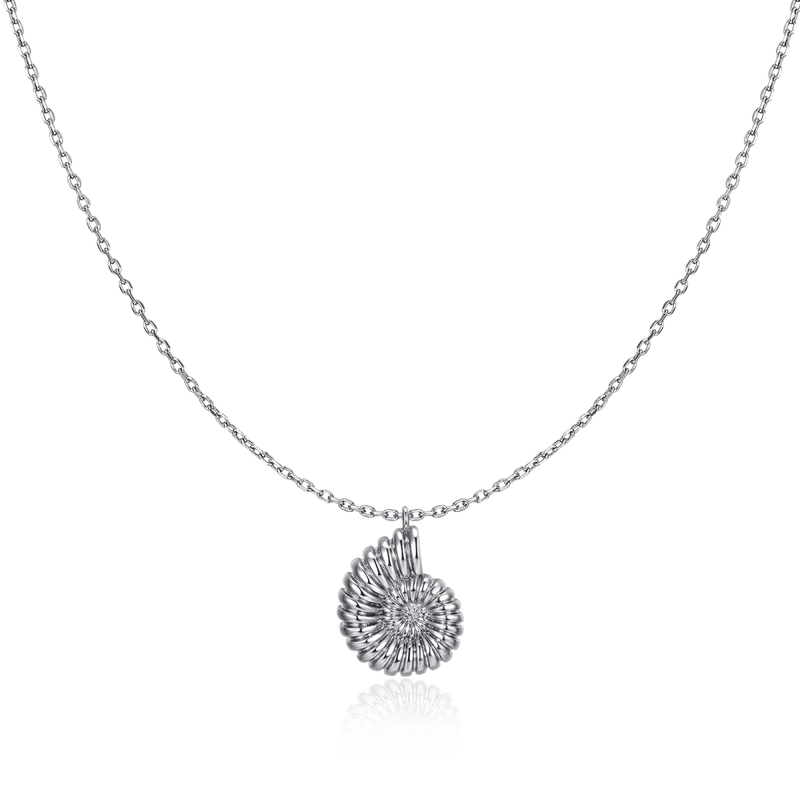 Collier coquille de nautile