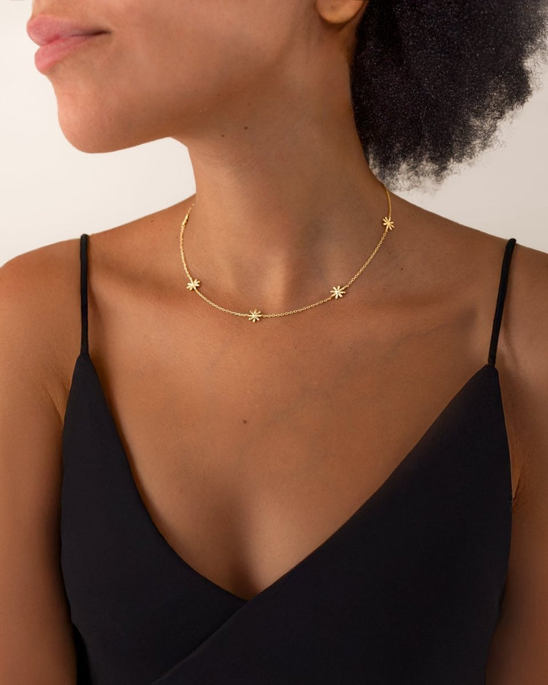 Collier Hábitat