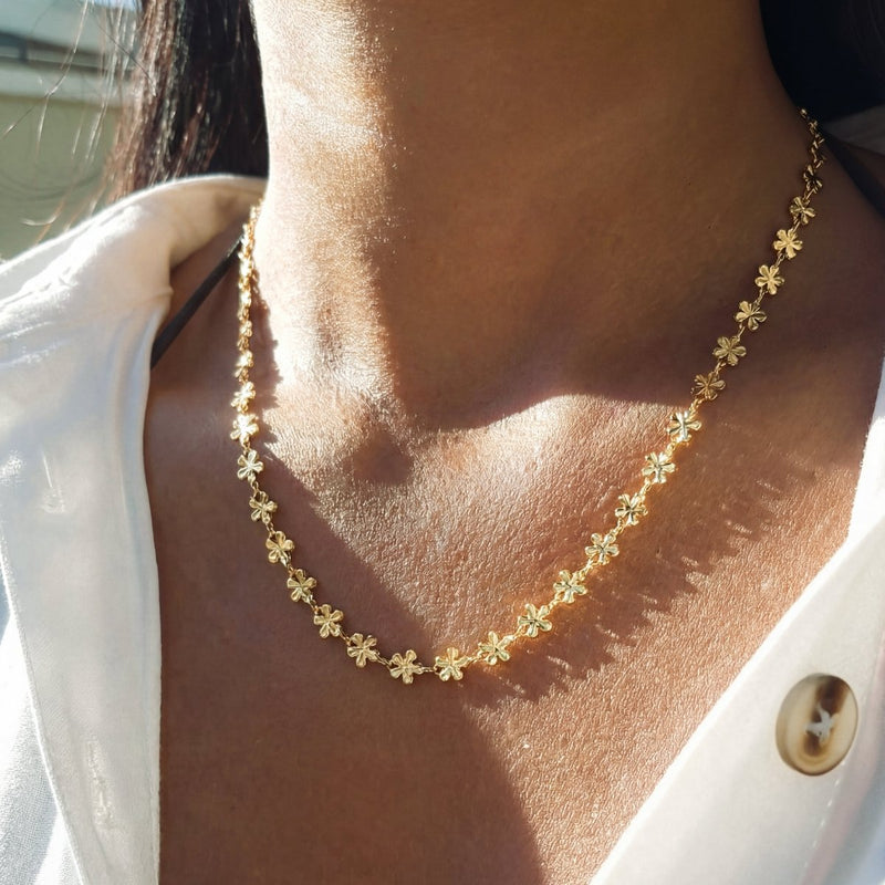 Collier Hawaii