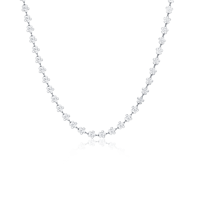 Collier Hawaii