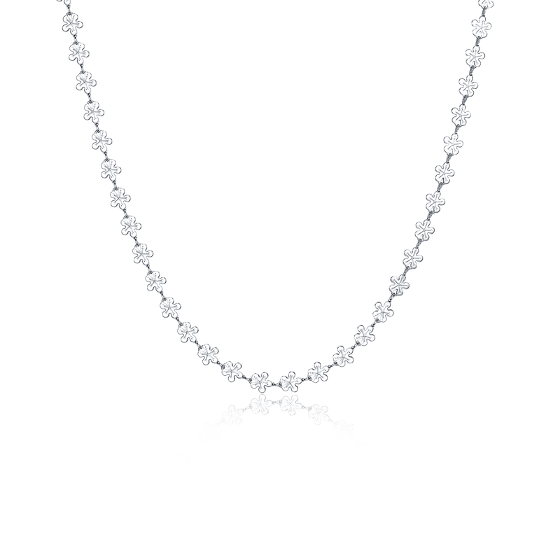 Collier Hawaii
