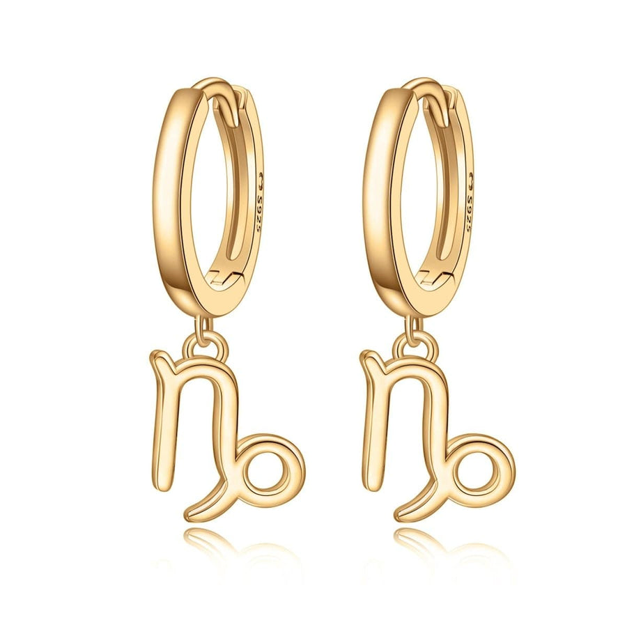 Boucles d’oreilles Signes