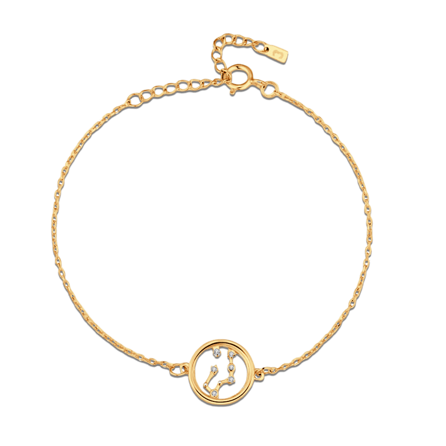 Glänzendes Sternzeichen-Armband · 18K Vergoldung / Wassermann