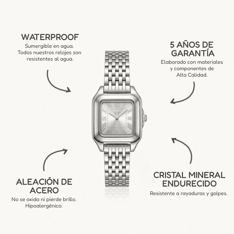 Montre ~ Europa Silver