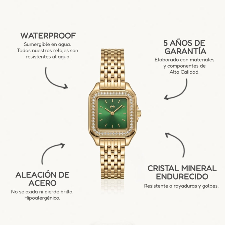 Montre Hampton Lux ~ Gold-Vert